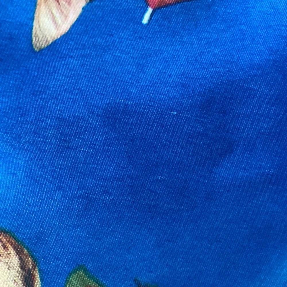 Bioworld Cat Pineapple Drink Swim Trunks